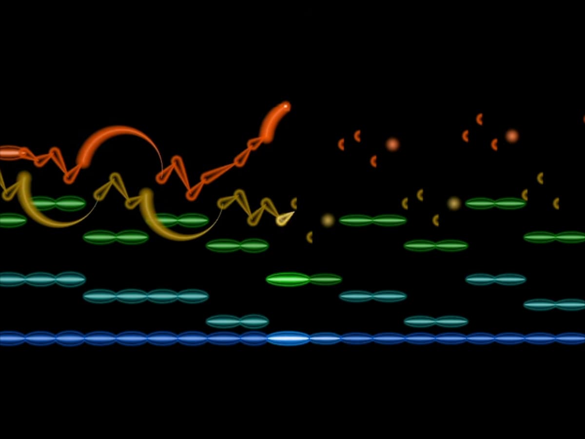 Exporting the Invisible: How an Aphantasic Artist Creates Animated Musical Scores